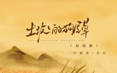 土坡上的狗尾草吉他谱_卢润泽_C调弹唱谱