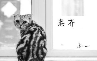 老齐吉他谱_齐一_E调原版弹唱谱