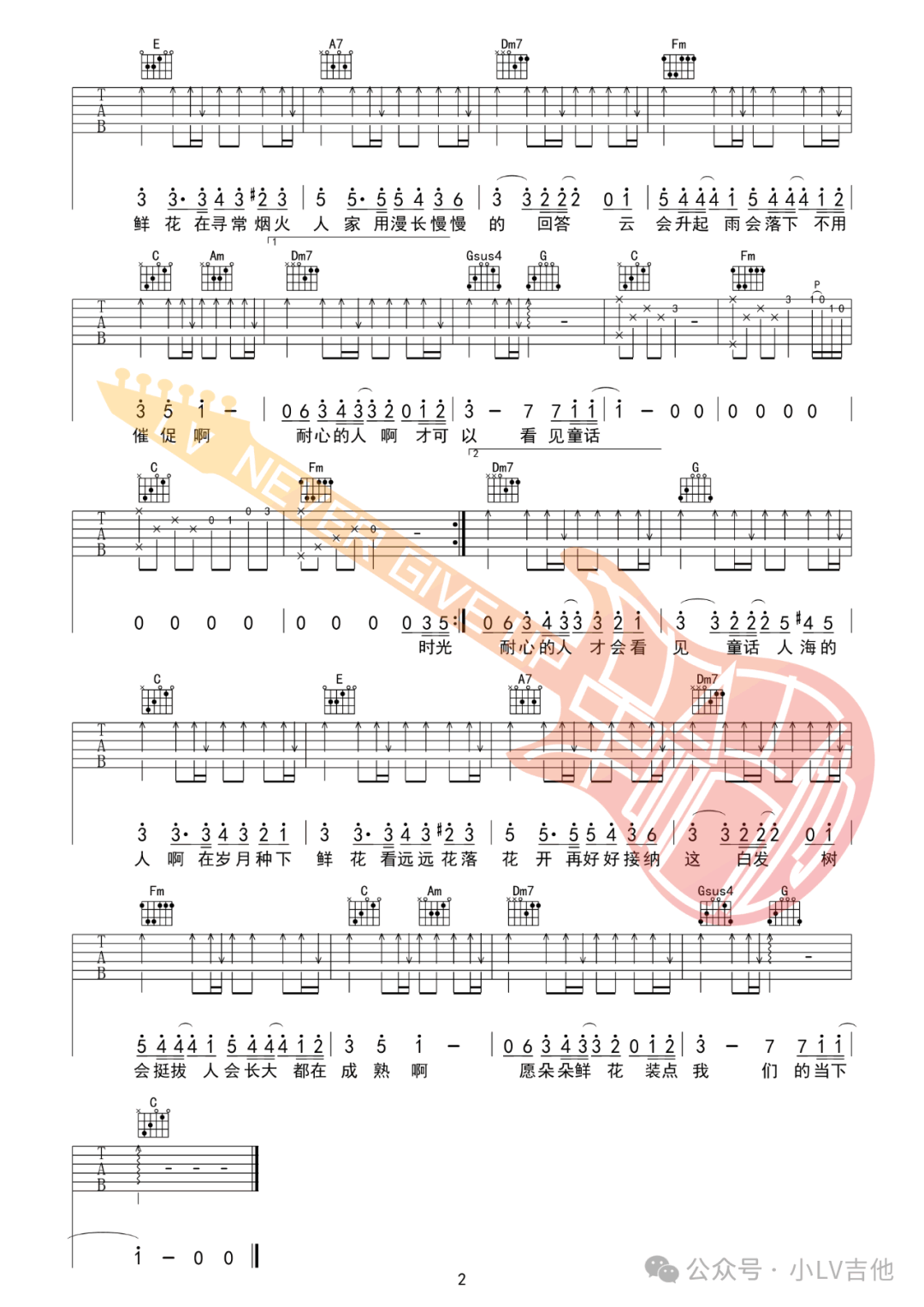 岁月里的花吉他谱2-毛不易