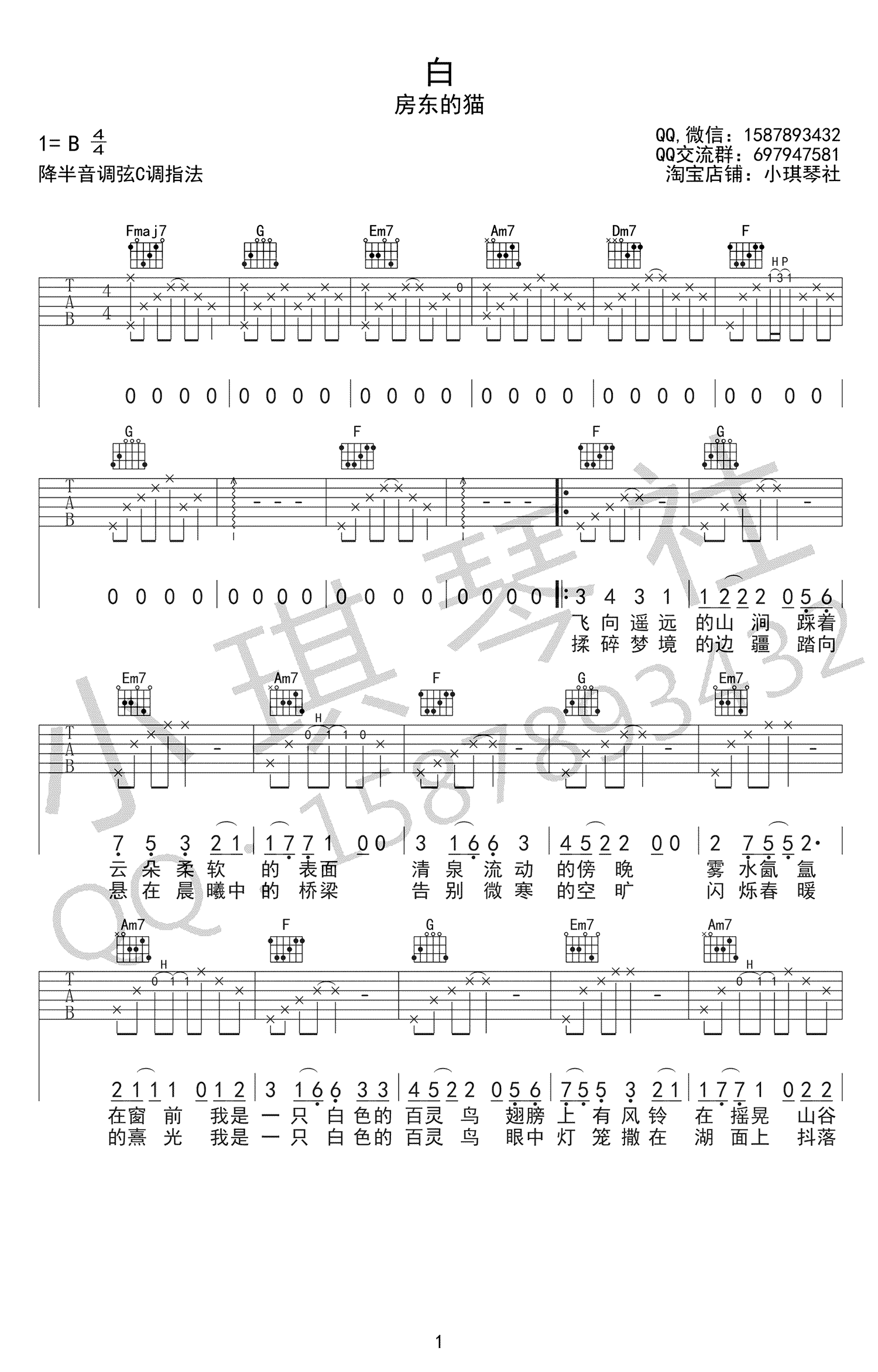 白吉他谱1-房东的猫