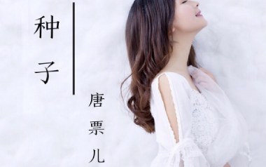 种子吉他谱_唐票儿_C调指法原版弹唱谱