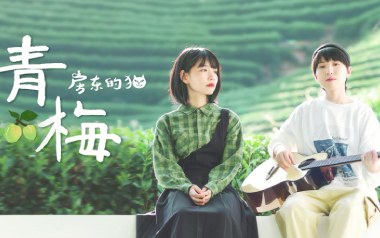 青梅吉他谱_房东的猫_G调指法原版弹唱谱