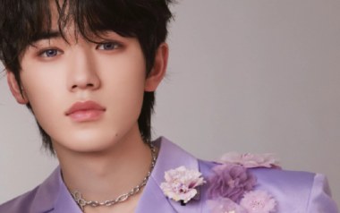 烟花升停在星夜吉他谱_宋亚轩/刘耀文_C调指法拍弦版弹唱谱