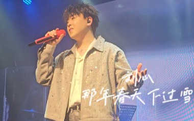 那年春天下着雪吉他谱_刘心_G调原版弹唱谱