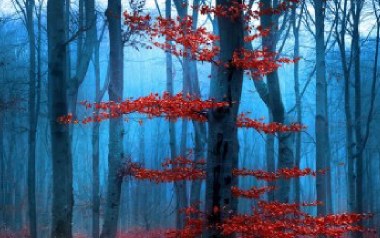 牛角弯弯吉他谱_娜海_F调指法原版弹唱谱