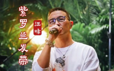 紫罗兰发带吉他谱_汪峰_G调指法弹唱谱