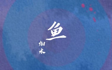 鱼吉他谱_加木_《鱼》C调指法拍弦版