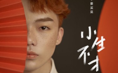 小生不才吉他谱_要不要买菜_C调原版弹唱谱