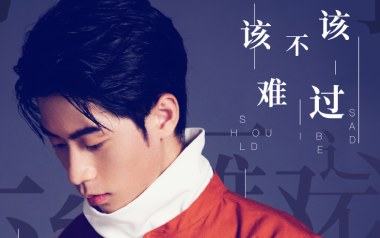 该不该难过吉他谱_王小帅_C调原版弹唱谱