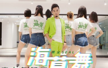 海草舞吉他谱_萧全_G调指法扫弦版弹唱谱