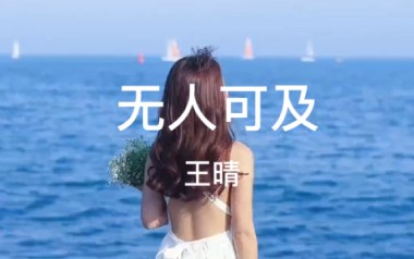 无人可及吉他谱_王晴_C调指法原版弹唱谱