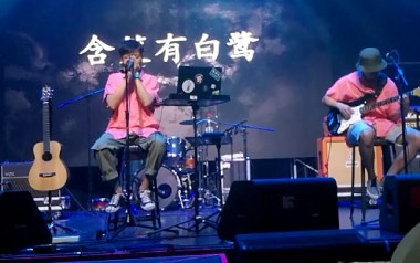 含笑有白鹭吉他谱_崔开潮_C调原版弹唱谱