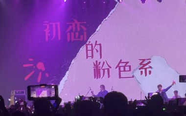 初恋粉色系吉他谱_南拳妈妈_C调原版弹唱谱