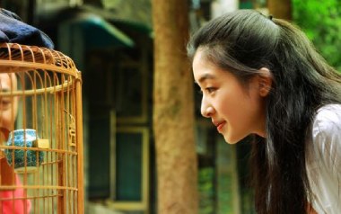 初恋未满吉他谱_张含韵/曹轩宾_F调扫弦版