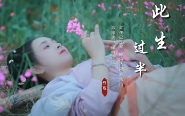 此生过半吉他谱_DJ阿卓_C调指法扫弦版