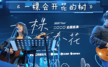 一棵会开花的树吉他谱_谢春花_C调扫弦版