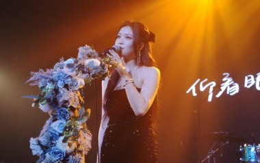 麦田吉他谱_蓝心羽_G调指法原版弹唱谱