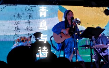 青鸟与诗吉他谱_愚青_G调指法原版弹唱谱