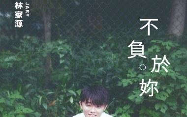 不负于你吉他谱_林家源_C调指法简单版