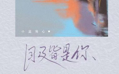 目及皆是你吉他谱_小蓝背心_G调指法弹唱谱