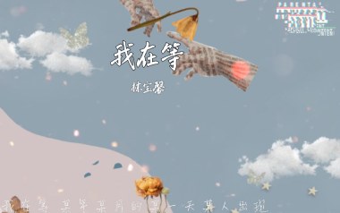 我在等吉他谱_林宝馨_C调指法扫弦版