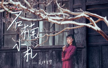 石楠小札吉他谱_贰婶_C调指法原版弹唱谱