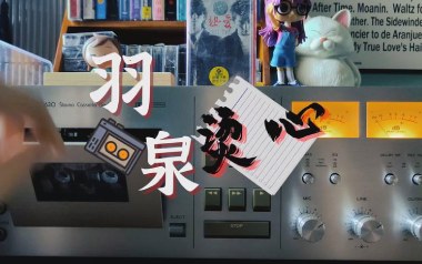 烫心吉他谱_羽泉_C调指法原版弹唱谱