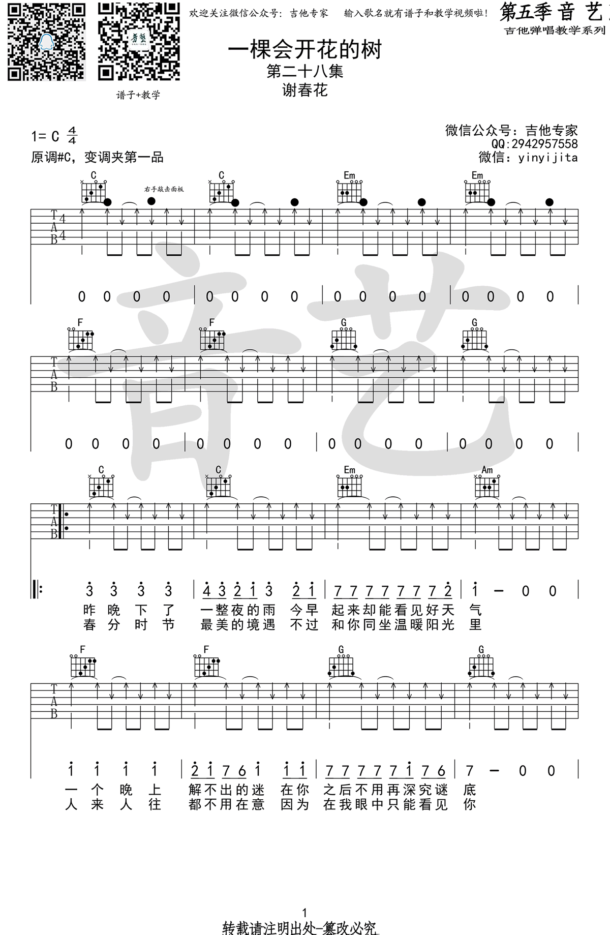 一棵会开花的树吉他谱1-谢春花