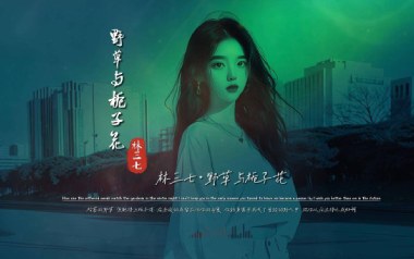 野草与栀子花吉他谱_林三七_C调指法弹唱谱