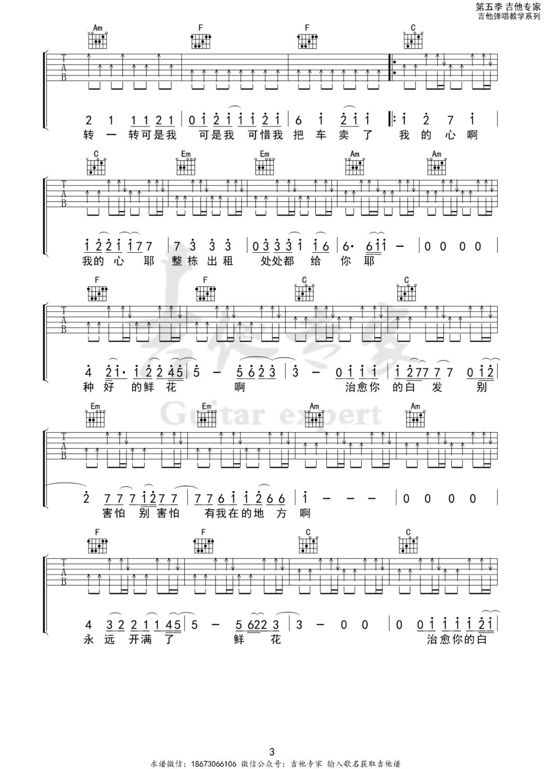 鲜花吉他谱3-回春丹乐队