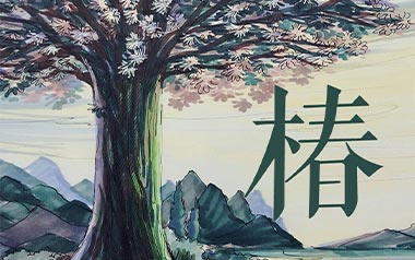 椿吉他谱_沈以诚_《椿》C调原版弹唱谱