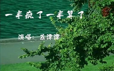 一半疯了一半算了吉他谱_苏谭谭_G调原版弹唱谱