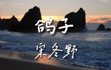 鸽子吉他谱_宋冬野_E调指法原版弹唱谱