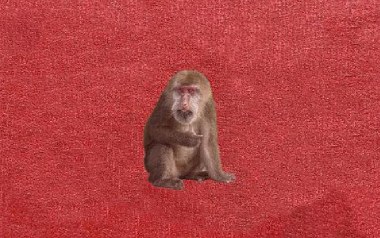 夜枕青山吉他谱_刘森_C调扫弦版弹唱谱