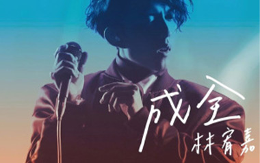 成全吉他谱_林宥嘉_C调原版弹唱谱