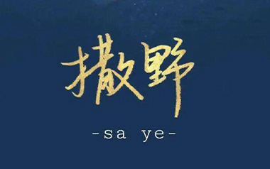 撒野吉他谱_凯瑟喵_撒野C调弹唱谱