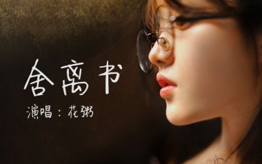 舍离书吉他谱_花粥_G调指法原版弹唱谱