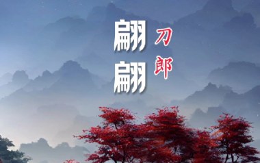 翩翩吉他谱_刀郎_G调指法拍弦版弹唱谱