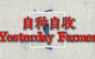 自种自收吉他谱_杨世暄_G调原版弹唱谱