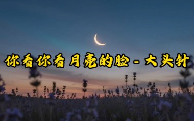 你看你看月亮的脸吉他谱_大头针_C调原版弹唱谱