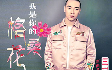 我是你的格桑花吉他谱_王琪_G调原版弹唱谱