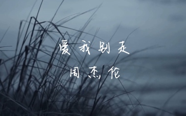 爱我别走吉他谱_周杰伦/张震岳_C调原版弹唱谱