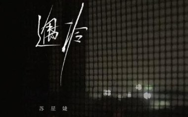 遇冷吉他谱_苏星婕_C调原版弹唱谱