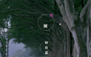 兜圈吉他谱_林宥嘉_C调简单版弹唱谱