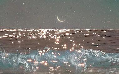 再见莫妮卡吉他谱_彭席彦_C调拍弦版弹唱谱