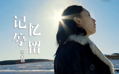 记忆停留吉他谱_蓝心羽_G调原版弹唱谱