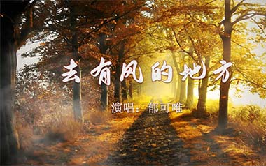 去有风的地方吉他谱_郁可唯_G调原版弹唱谱