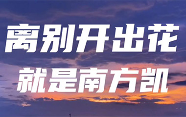 离别开出花吉他谱_就是南方凯_G调原版弹唱谱