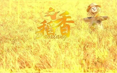 稻香吉他谱_周杰伦_稻香A调原版弹唱谱