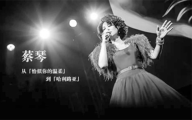 恰似你的温柔吉他谱_蔡琴_C调原版弹唱谱